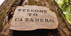 welcome_tree