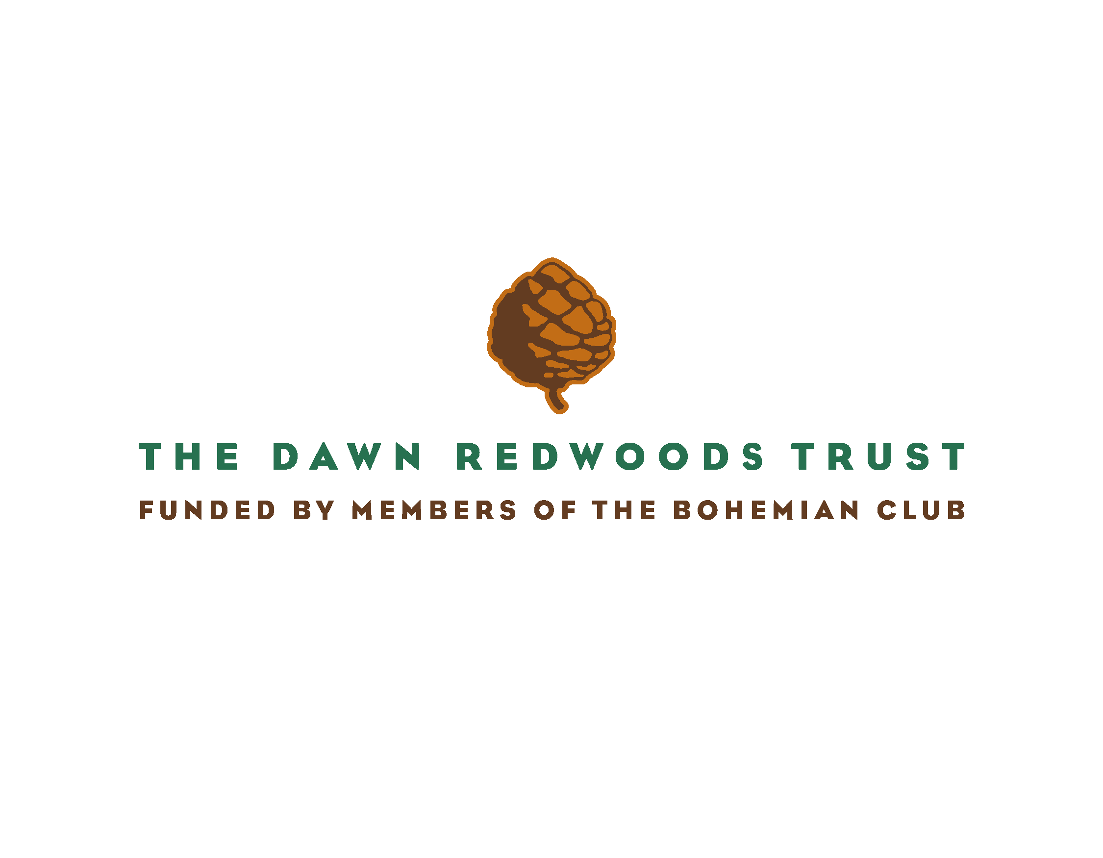 Dawn Redwoods Trust